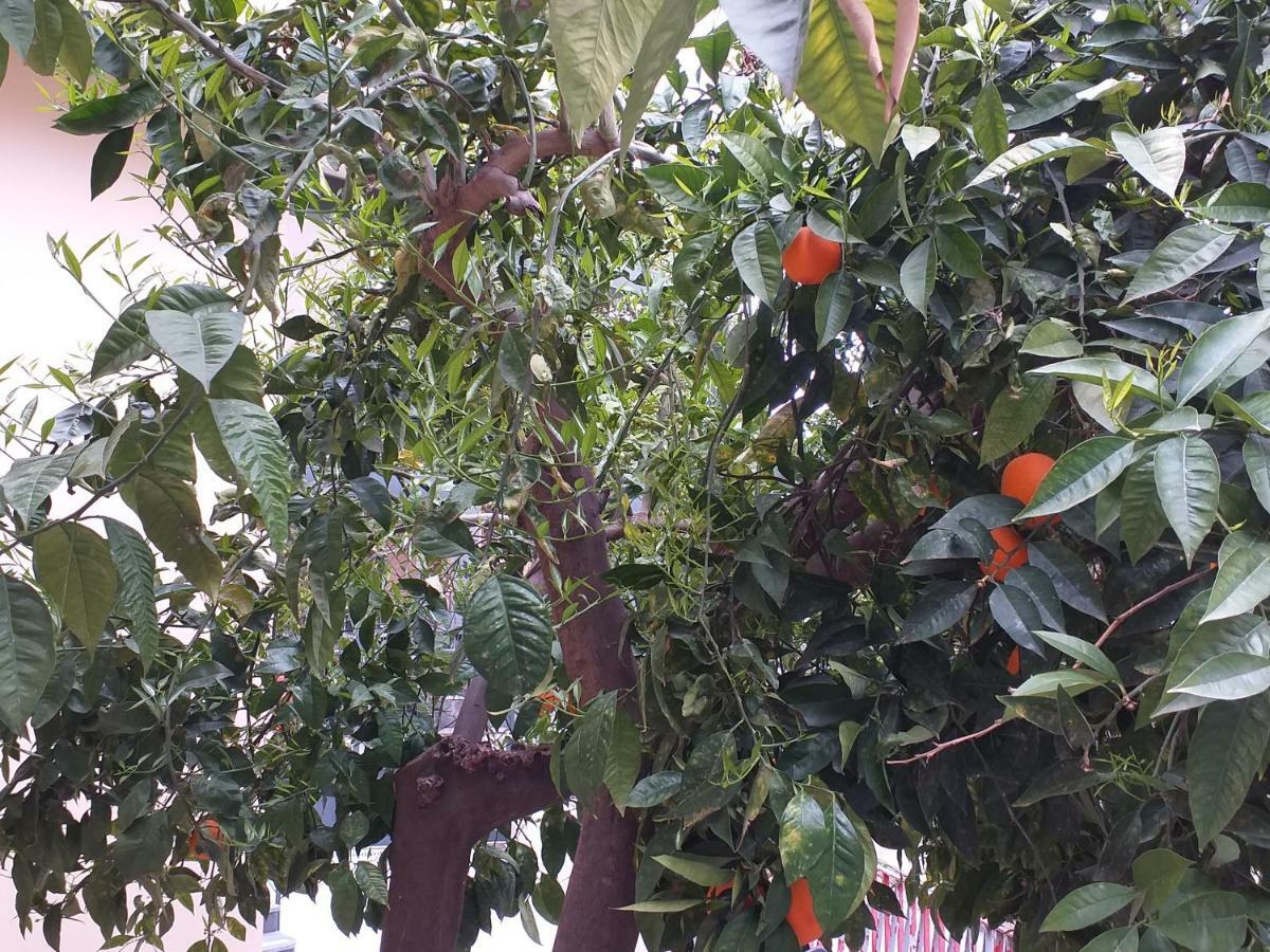 Appartamento B&B Domus Pompei Scafati Εξωτερικό φωτογραφία